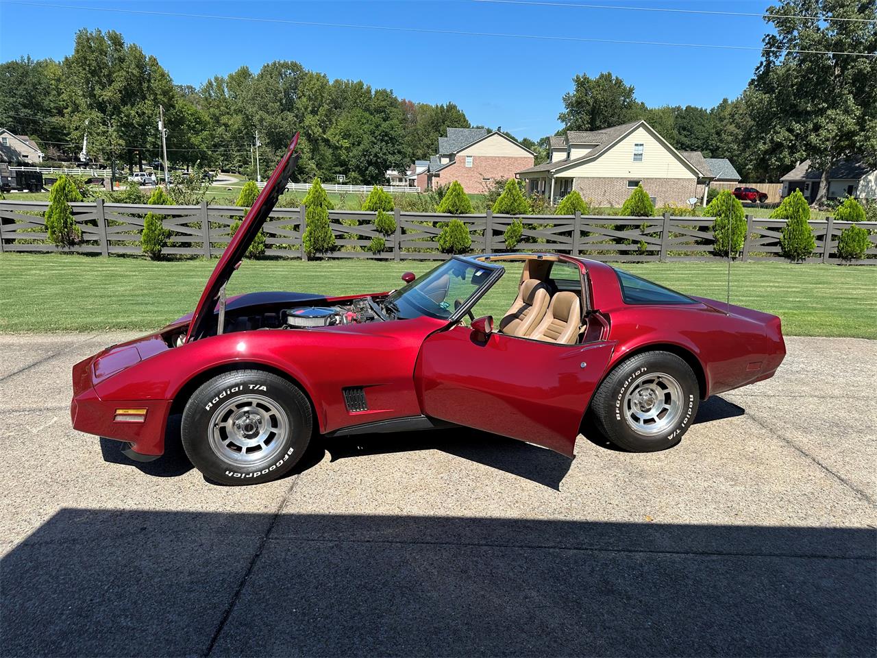 Chevrolet-Corvette-1981-Red-Camel-6