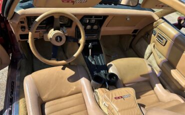 Chevrolet-Corvette-1981-Red-Camel-7