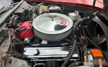 Chevrolet-Corvette-1981-Red-Camel-9