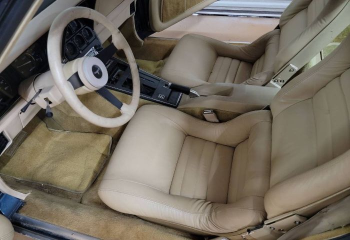 Chevrolet-Corvette-1981-Silver-1