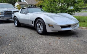 Chevrolet-Corvette-1981-Silver-11