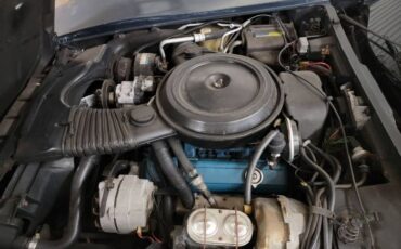 Chevrolet-Corvette-1981-Silver-11