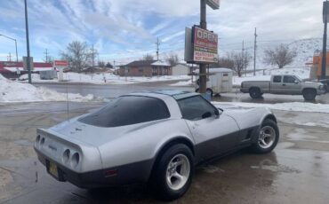 Chevrolet-Corvette-1981-Silver-12