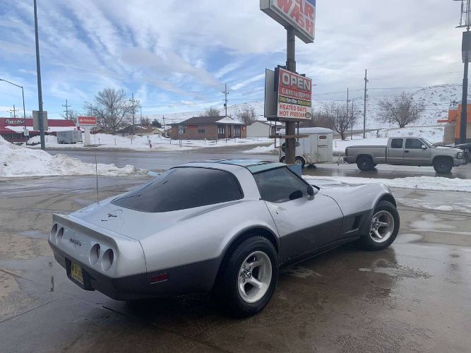 Chevrolet-Corvette-1981-Silver-12