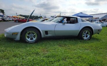 Chevrolet-Corvette-1981-Silver-13