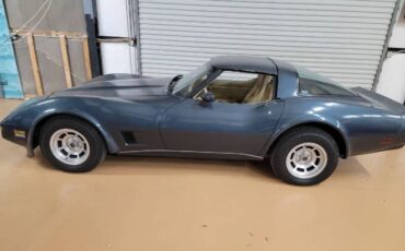 Chevrolet-Corvette-1981-Silver-13