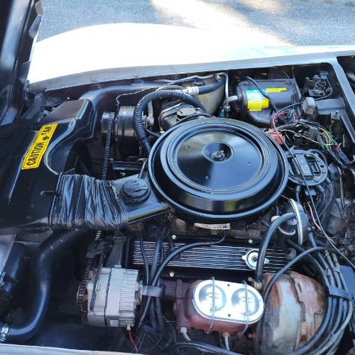 Chevrolet-Corvette-1981-Silver-15