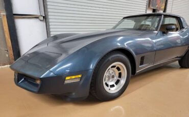 Chevrolet-Corvette-1981-Silver-2