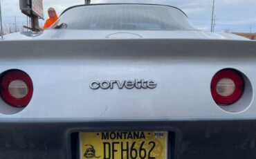 Chevrolet-Corvette-1981-Silver-2
