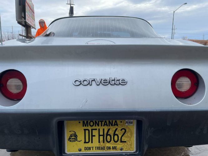 Chevrolet-Corvette-1981-Silver-2