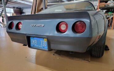 Chevrolet-Corvette-1981-Silver-4