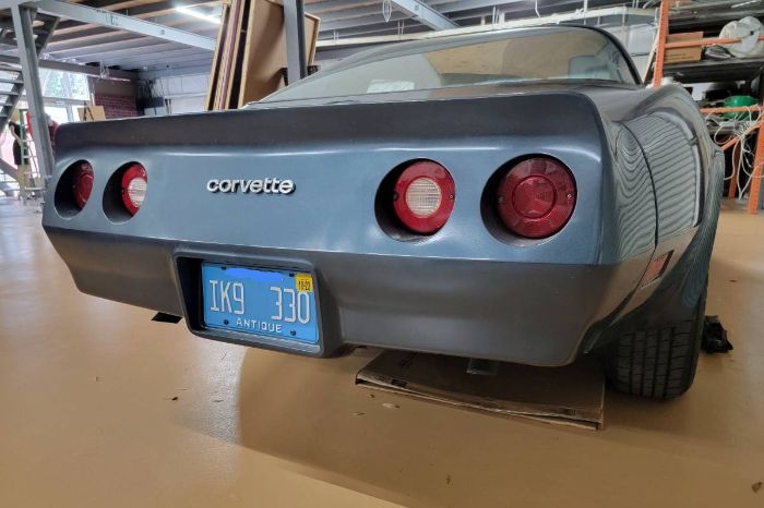 Chevrolet-Corvette-1981-Silver-4