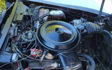 Chevrolet-Corvette-1981-Silver-5