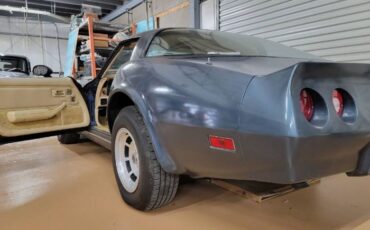 Chevrolet-Corvette-1981-Silver-5