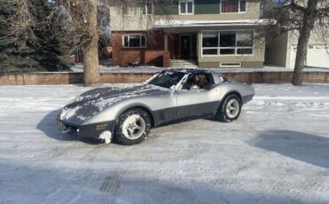 Chevrolet-Corvette-1981-Silver-5