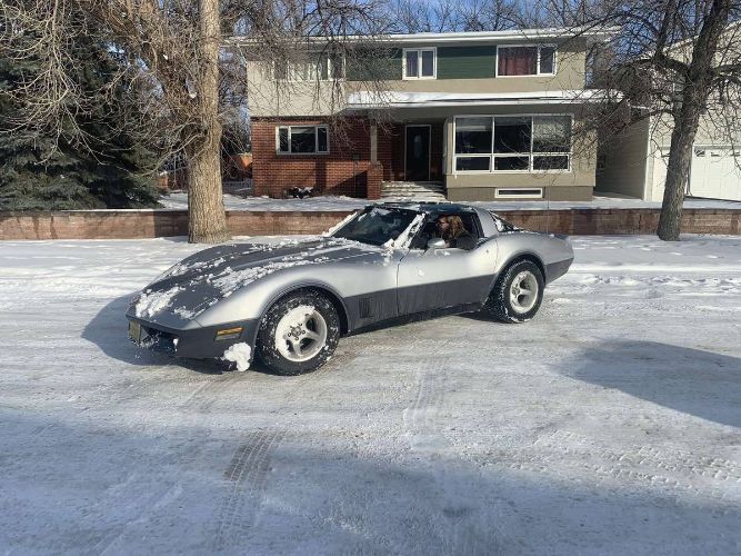 Chevrolet-Corvette-1981-Silver-5