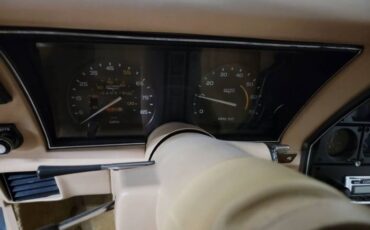 Chevrolet-Corvette-1981-Silver-6