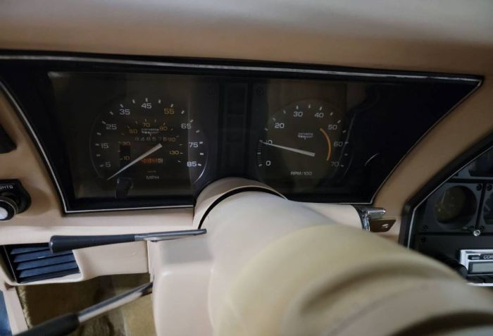 Chevrolet-Corvette-1981-Silver-6