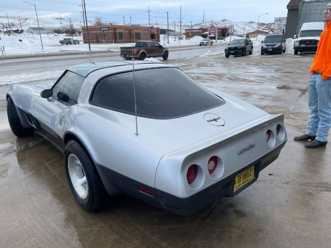 Chevrolet-Corvette-1981-Silver-7