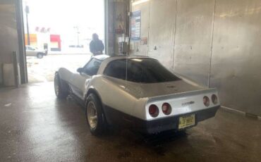 Chevrolet-Corvette-1981-Silver-8