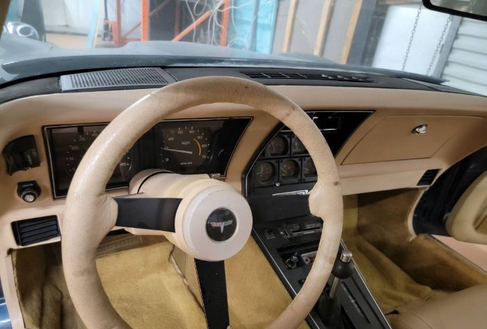 Chevrolet-Corvette-1981-Silver-9