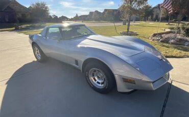Chevrolet-Corvette-1981-Silver-Charcoal-1