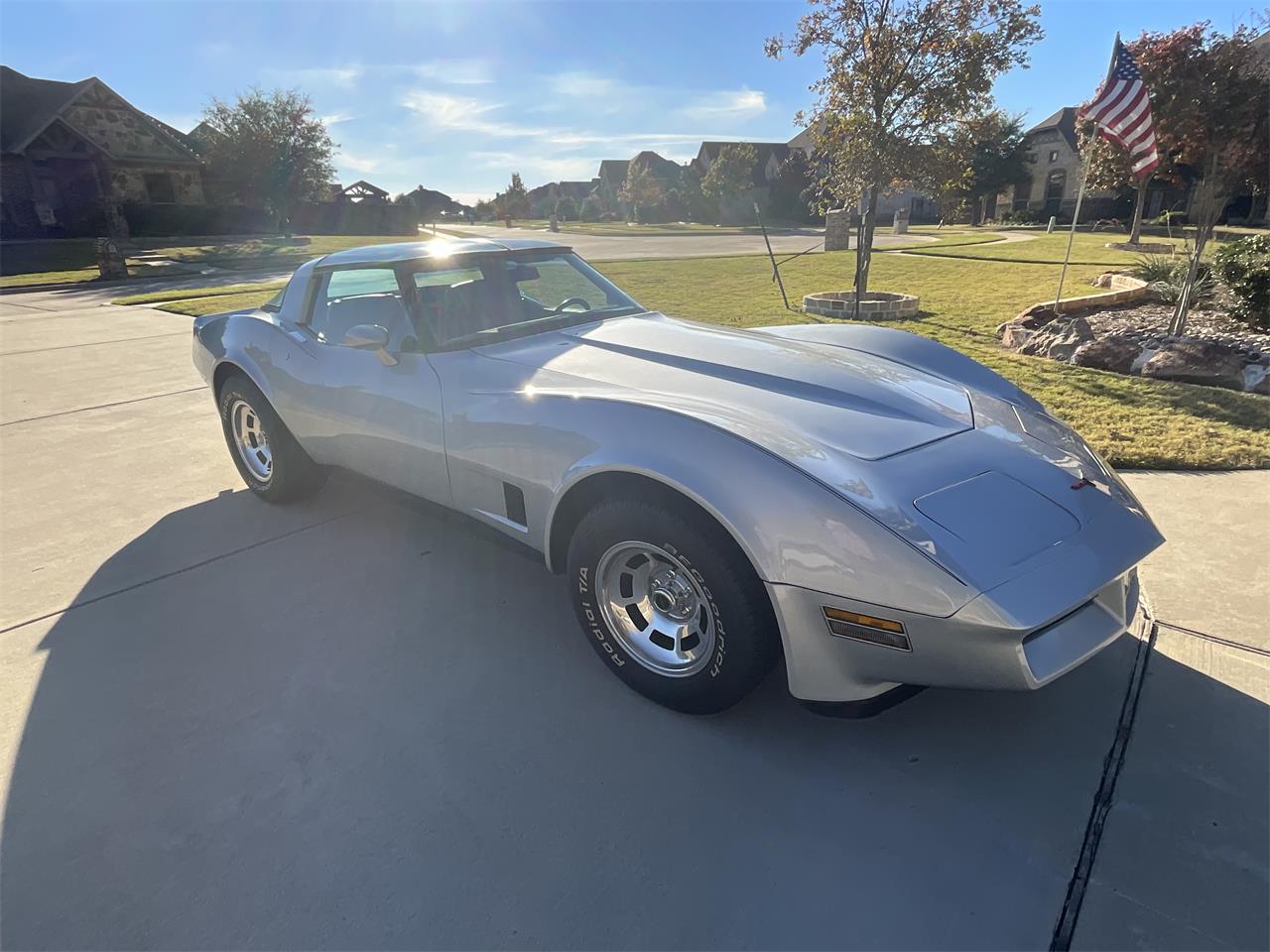 Chevrolet-Corvette-1981-Silver-Charcoal-1