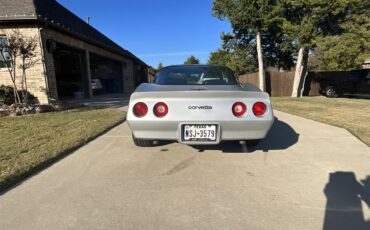Chevrolet-Corvette-1981-Silver-Charcoal-12