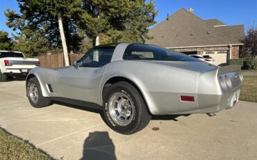 Chevrolet-Corvette-1981-Silver-Charcoal-14