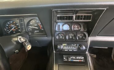 Chevrolet-Corvette-1981-Silver-Charcoal-18