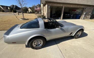 Chevrolet-Corvette-1981-Silver-Charcoal-19