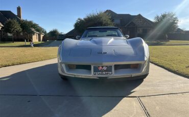 Chevrolet-Corvette-1981-Silver-Charcoal-2