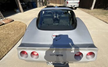 Chevrolet-Corvette-1981-Silver-Charcoal-20