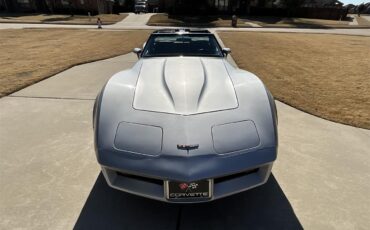 Chevrolet-Corvette-1981-Silver-Charcoal-22