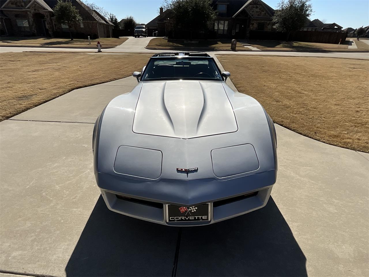 Chevrolet-Corvette-1981-Silver-Charcoal-22