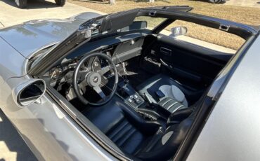 Chevrolet-Corvette-1981-Silver-Charcoal-23