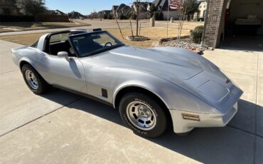 Chevrolet-Corvette-1981-Silver-Charcoal-28