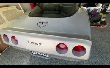 Chevrolet-Corvette-1981-Silver-Charcoal