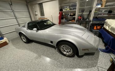 Chevrolet-Corvette-1981-Silver-Charcoal-4
