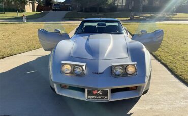 Chevrolet-Corvette-1981-Silver-Charcoal-5