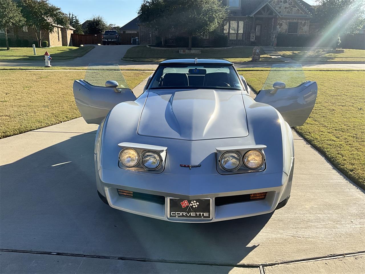 Chevrolet-Corvette-1981-Silver-Charcoal-5