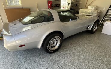 Chevrolet-Corvette-1981-Silver-Charcoal-6