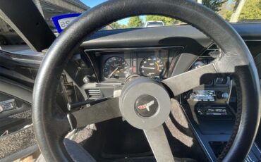 Chevrolet-Corvette-1981-Silver-Charcoal-8