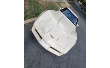 Chevrolet-Corvette-1981-Tan-Beige-10