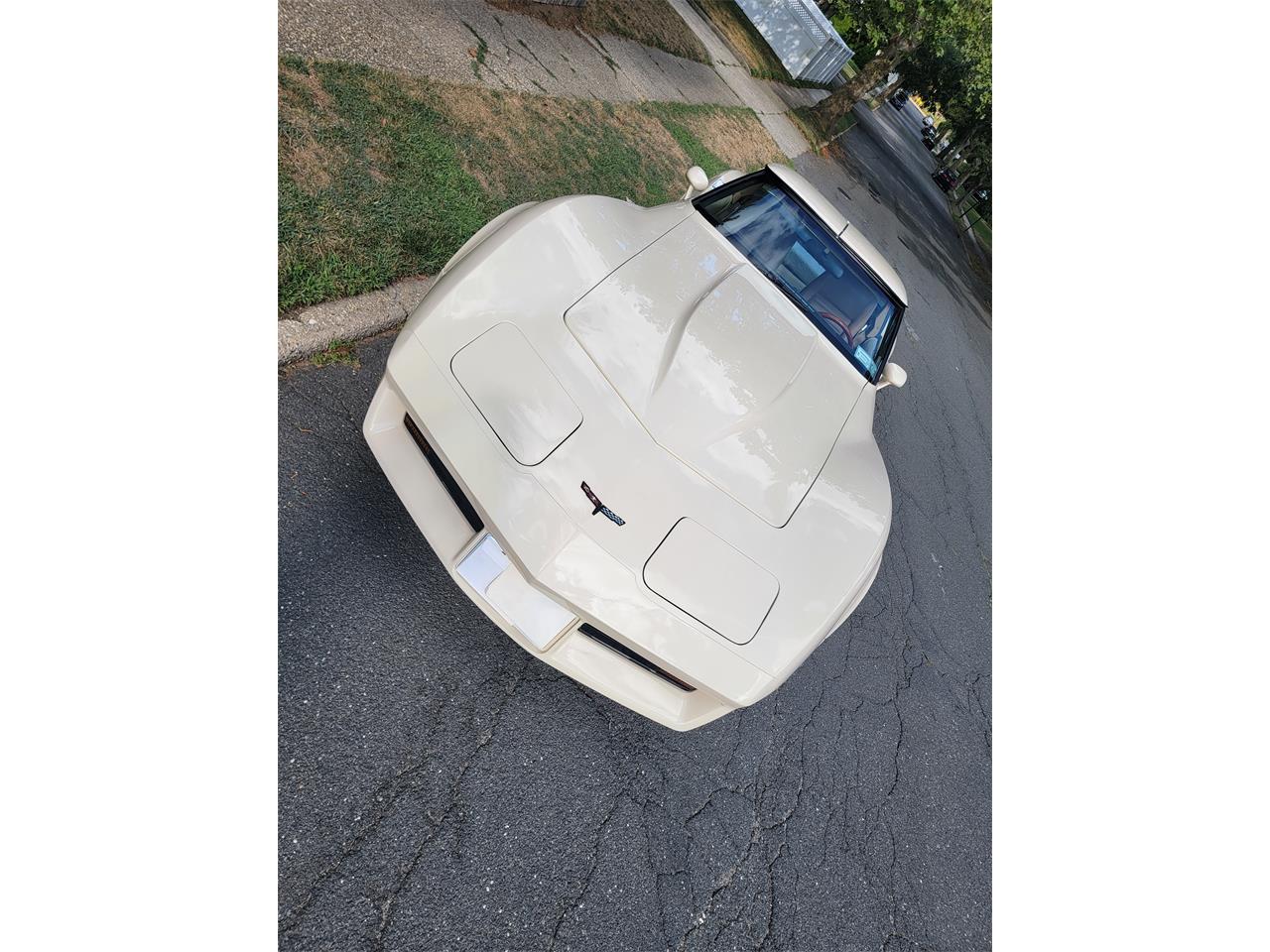 Chevrolet-Corvette-1981-Tan-Beige-10