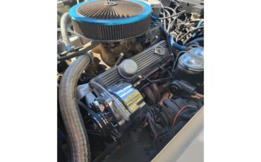 Chevrolet-Corvette-1981-Tan-Beige-12