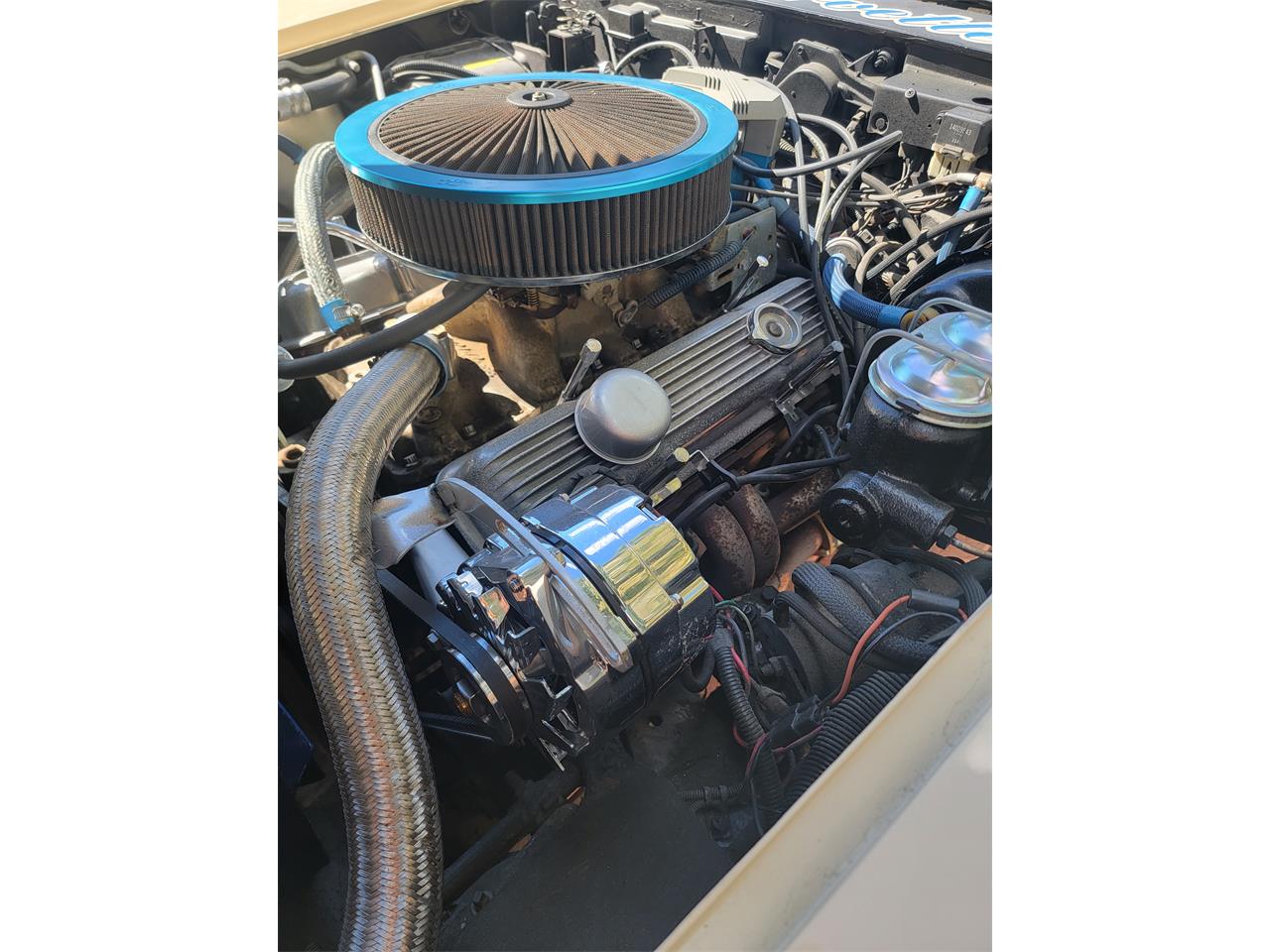 Chevrolet-Corvette-1981-Tan-Beige-12