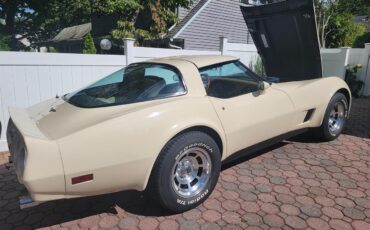 Chevrolet-Corvette-1981-Tan-Beige-14