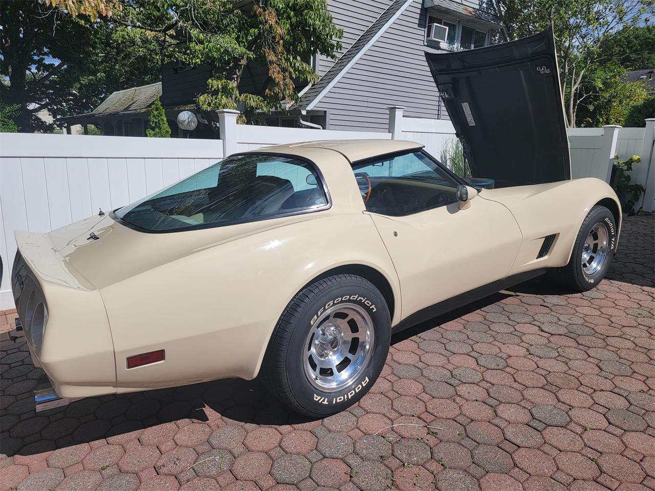 Chevrolet-Corvette-1981-Tan-Beige-14