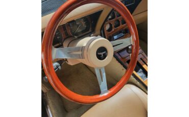 Chevrolet-Corvette-1981-Tan-Beige-19